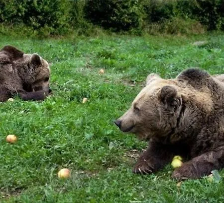 Zentralclub El Nido De Somiedo * Сантьяго-дель-Эрмо